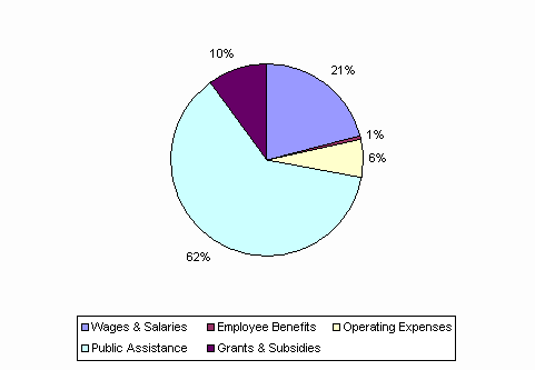 Pie Chart: Wages & Salaries=21%, Employee Benefits=1%, Operating Expenses=6%, Public Assistance=62%, Grants & Subsidies=10%