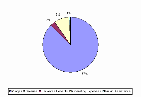 Pie Chart: Wages & Salaries=87%, Employee Benefits=3%, Operating Expenses=9%, Public Assistance=1%