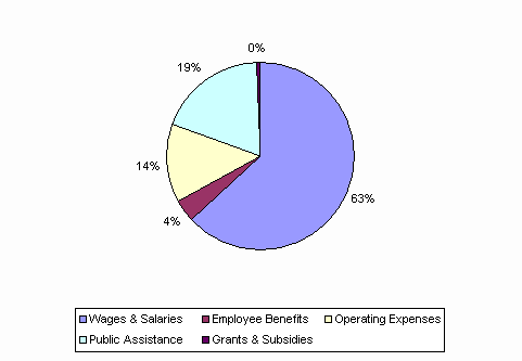 Pie Chart: Wages & Salaries=63%, Employee Benefits=4%, Operating Expenses=14%, Public Assistance=19%, Grants & Subsidies=0%