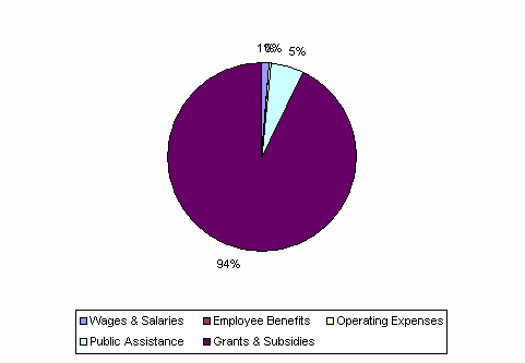 Pie Chart: Wages & Salaries=1%, Employee Benefits=0%, Operating Expenses=0%, Public Assistance=5%, Grants & Subsidies=94%