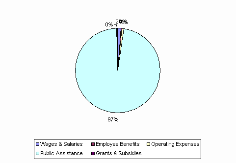 Pie Chart: Wages & Salaries=2%, Employee Benefits=0%, Operating Expenses=1%, Public Assistance=97%, Grants & Subsidies=0%