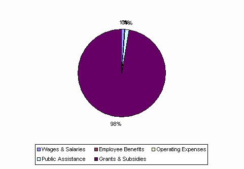 Pie Chart: Wages & Salaries=1%, Employee Benefits=0%, Operating Expenses=0%, Public Assistance=1%, Grants & Subsidies=98%