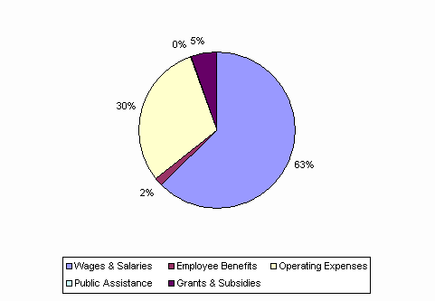 Pie Chart: Wages & Salaries=63%, Employee Benefits=2%, Operating Expenses=30%, Public Assistance=0%, Grants & Subsidies=5%