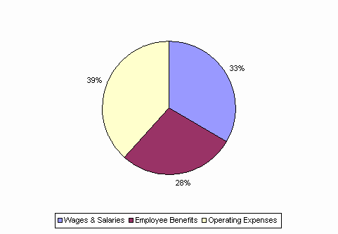 Pie Chart: Wages & Salaries=33%, Employee Benefits=28%, Operating Expenses=39%