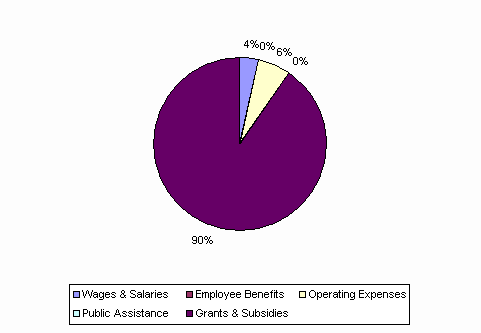 Pie Chart: Wages & Salaries=4%, Employee Benefits=0%, Operating Expenses=6%, Public Assistance=0%, Grants & Subsidies=90%