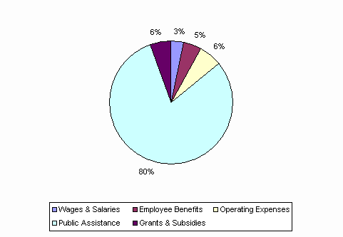 Pie Chart: Wages & Salaries=3%, Employee Benefits=5%, Operating Expenses=6%, Public Assistance=80%, Grants & Subsidies=6%