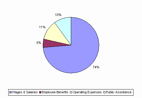 Pie Chart: Wages & Salaries=74%, Employee Benefits=5%, Operating Expenses=11%, Public Assistance=10%