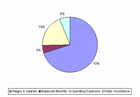 Pie Chart: Wages & Salaries=70%, Employee Benefits=5%, Operating Expenses=19%, Public Assistance=6%