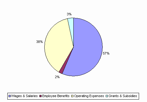 Pie Chart: Wages & Salaries=57%, Employee Benefits=2%, Operating Expenses=38%, Grants & Subsidies=3%