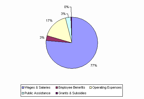 Pie Chart: Wages & Salaries=77%, Employee Benefits=3%, Operating Expenses=17%, Public Assistance=3%, Grants & Subsidies=0%