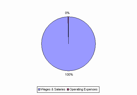 Pie Chart: Wages & Salaries=100%, Operating Expenses=0%