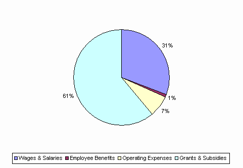 Pie Chart: Wages & Salaries=31%, Employee Benefits=1%, Operating Expenses=7%, Grants & Subsidies=61%