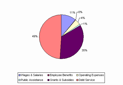 Pie Chart: Wages & Salaries=11%, Employee Benefits=0%, Operating Expenses=4%, Public Assistance=1%, Grants & Subsidies=35%, Debt Service=49%