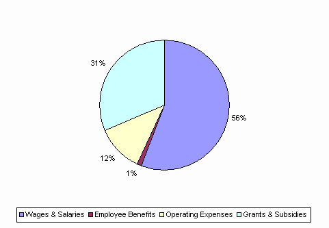 Pie Chart: Wages & Salaries=56%, Employee Benefits=1%, Operating Expenses=12%, Grants & Subsidies=31%