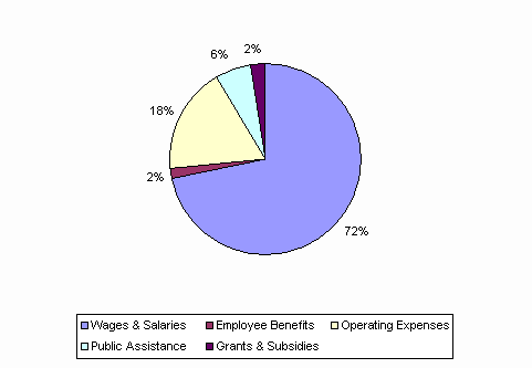 Pie Chart: Wages & Salaries=72%, Employee Benefits=2%, Operating Expenses=18%, Public Assistance=6%, Grants & Subsidies=2%