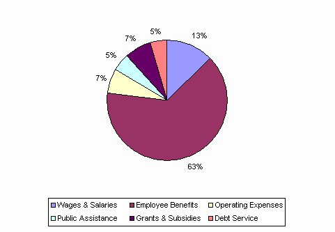 Pie Chart: Wages & Salaries=13%, Employee Benefits=63%, Operating Expenses=7%, Public Assistance=5%, Grants & Subsidies=7%, Debt Service=5%