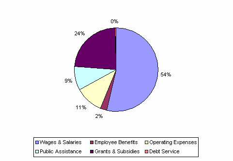 Pie Chart: Wages & Salaries=54%, Employee Benefits=2%, Operating Expenses=11%, Public Assistance=9%, Grants & Subsidies=24%, Debt Service=0%