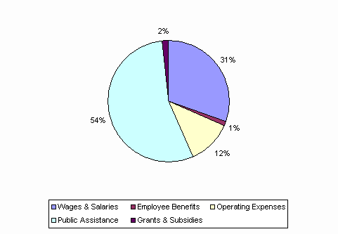 Pie Chart: Wages & Salaries=31%, Employee Benefits=1%, Operating Expenses=12%, Public Assistance=54%, Grants & Subsidies=2%