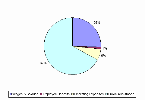 Pie Chart: Wages & Salaries=26%, Employee Benefits=1%, Operating Expenses=6%, Public Assistance=67%