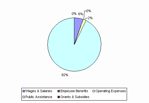 Pie Chart: Wages & Salaries=6%, Employee Benefits=0%, Operating Expenses=2%, Public Assistance=92%, Grants & Subsidies=0%