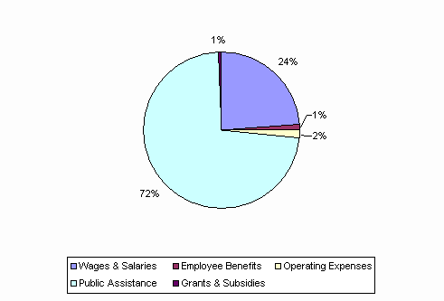 Pie Chart: Wages & Salaries=25%, Employee Benefits=1%, Operating Expenses=-2%, Public Assistance=75%, Grants & Subsidies=1%