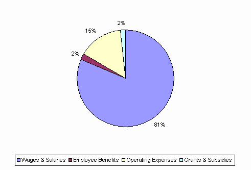 Pie Chart: Wages & Salaries=81%, Employee Benefits=2%, Operating Expenses=15%, Grants & Subsidies=2%