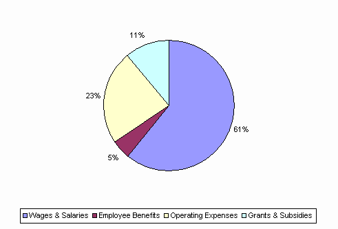 Pie Chart: Wages & Salaries=61%, Employee Benefits=5%, Operating Expenses=23%, Grants & Subsidies=11%