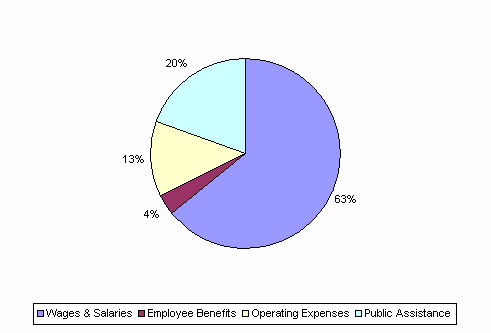 Pie Chart: Wages & Salaries=63%, Employee Benefits=4%, Operating Expenses=13%, Public Assistance=20%