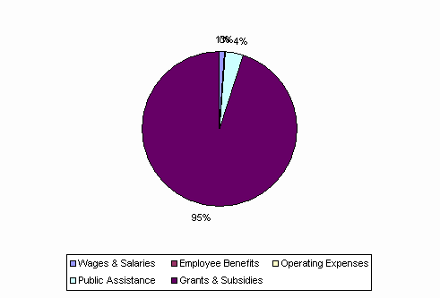 Pie Chart: Wages & Salaries=1%, Employee Benefits=0%, Operating Expenses=0%, Public Assistance=4%, Grants & Subsidies=95%