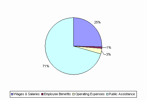 Pie Chart: Wages & Salaries=25%, Employee Benefits=1%, Operating Expenses=3%, Public Assistance=71%