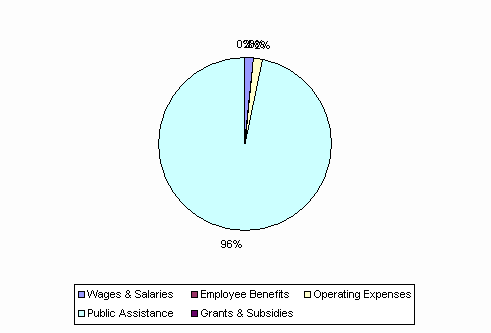 Pie Chart: Wages & Salaries=2%, Employee Benefits=0%, Operating Expenses=2%, Public Assistance=96%, Grants & Subsidies=0%