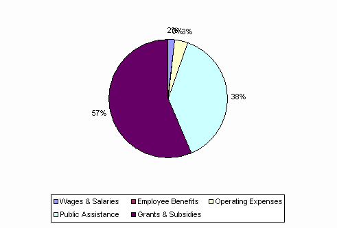 Pie Chart: Wages & Salaries=8%, Employee Benefits=0%, Operating Expenses=14%, Public Assistance=-160%, Grants & Subsidies=238%