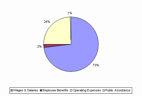 Pie Chart: Wages & Salaries=73%, Employee Benefits=2%, Operating Expenses=24%, Public Assistance=1%