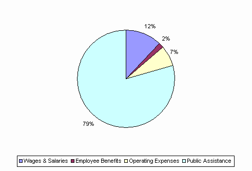 Pie Chart: Wages & Salaries=12%, Employee Benefits=2%, Operating Expenses=7%, Public Assistance=79%