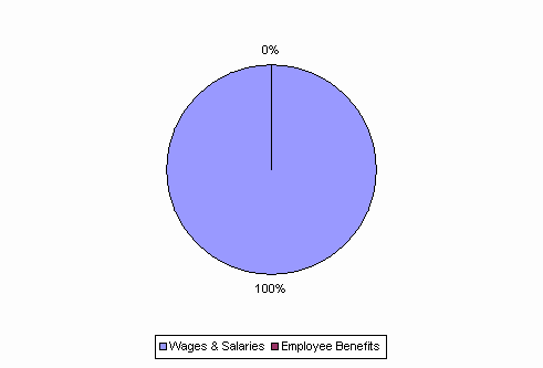 Pie Chart: Wages & Salaries=100%, Employee Benefits=0%