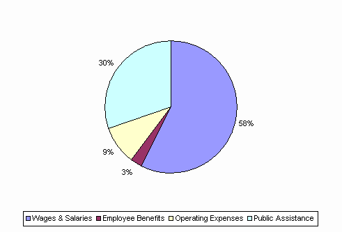 Pie Chart: Wages & Salaries=58%, Employee Benefits=3%, Operating Expenses=9%, Public Assistance=30%