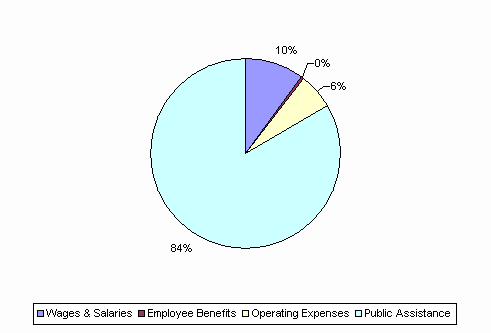 Pie Chart: Wages & Salaries=10%, Employee Benefits=0%, Operating Expenses=6%, Public Assistance=84%