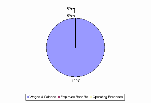 Pie Chart: Wages & Salaries=100%, Employee Benefits=0%, Operating Expenses=0%