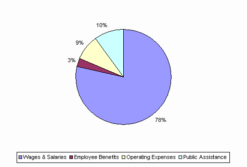 Pie Chart: Wages & Salaries=78%, Employee Benefits=3%, Operating Expenses=9%, Public Assistance=10%