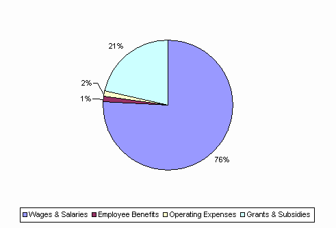 Pie Chart: Wages & Salaries=76%, Employee Benefits=1%, Operating Expenses=2%, Grants & Subsidies=21%