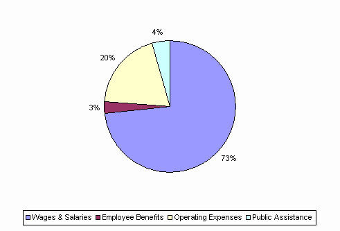 Pie Chart: Wages & Salaries=73%, Employee Benefits=3%, Operating Expenses=20%, Public Assistance=4%