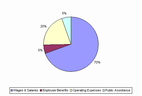 Pie Chart: Wages & Salaries=70%, Employee Benefits=5%, Operating Expenses=20%, Public Assistance=5%