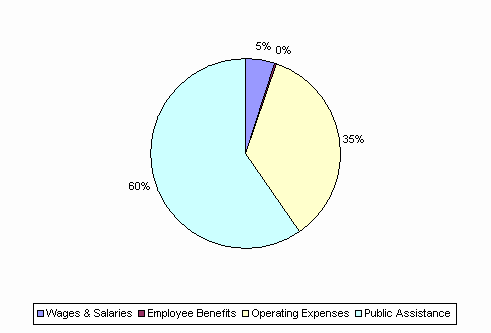 Pie Chart: Wages & Salaries=5%, Employee Benefits=0%, Operating Expenses=35%, Public Assistance=60%