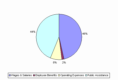 Pie Chart: Wages & Salaries=46%, Employee Benefits=2%, Operating Expenses=8%, Public Assistance=44%