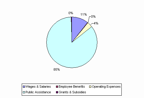 Pie Chart: Wages & Salaries=11%, Employee Benefits=0%, Operating Expenses=4%, Public Assistance=85%, Grants & Subsidies=0%