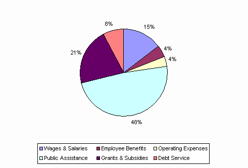 Pie Chart: Wages & Salaries=15%, Employee Benefits=4%, Operating Expenses=4%, Public Assistance=48%, Grants & Subsidies=21%, Debt Service=8%