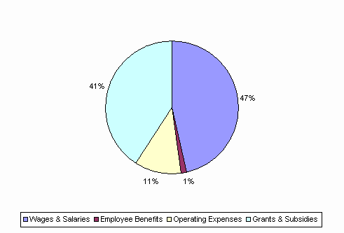 Pie Chart: Wages & Salaries=47%, Employee Benefits=1%, Operating Expenses=11%, Grants & Subsidies=41%