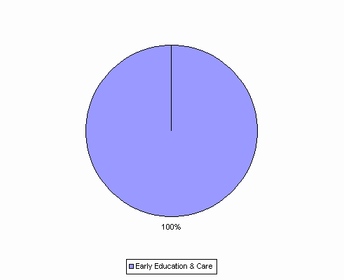 Pie Chart: Early Education & Care=100%