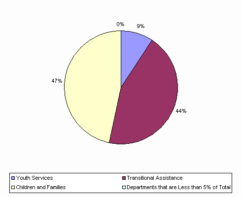 Pie Chart: Youth Services=9%, Transitional Assistance=44%, Children and Families=47%, Departments that are Less than 5% of Total=0%