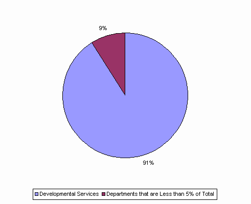 Pie Chart: Developmental Services=91%, Departments that are Less than 5% of Total=9%